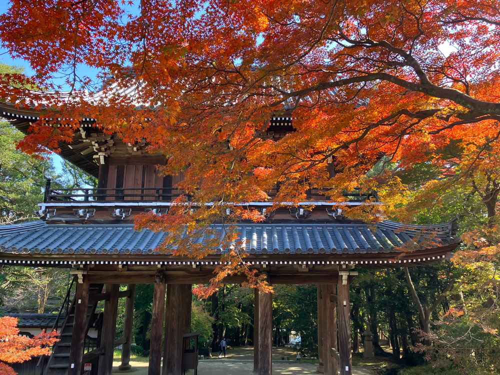 画像：秋のお出かけ！城下町・長府の紅葉散策