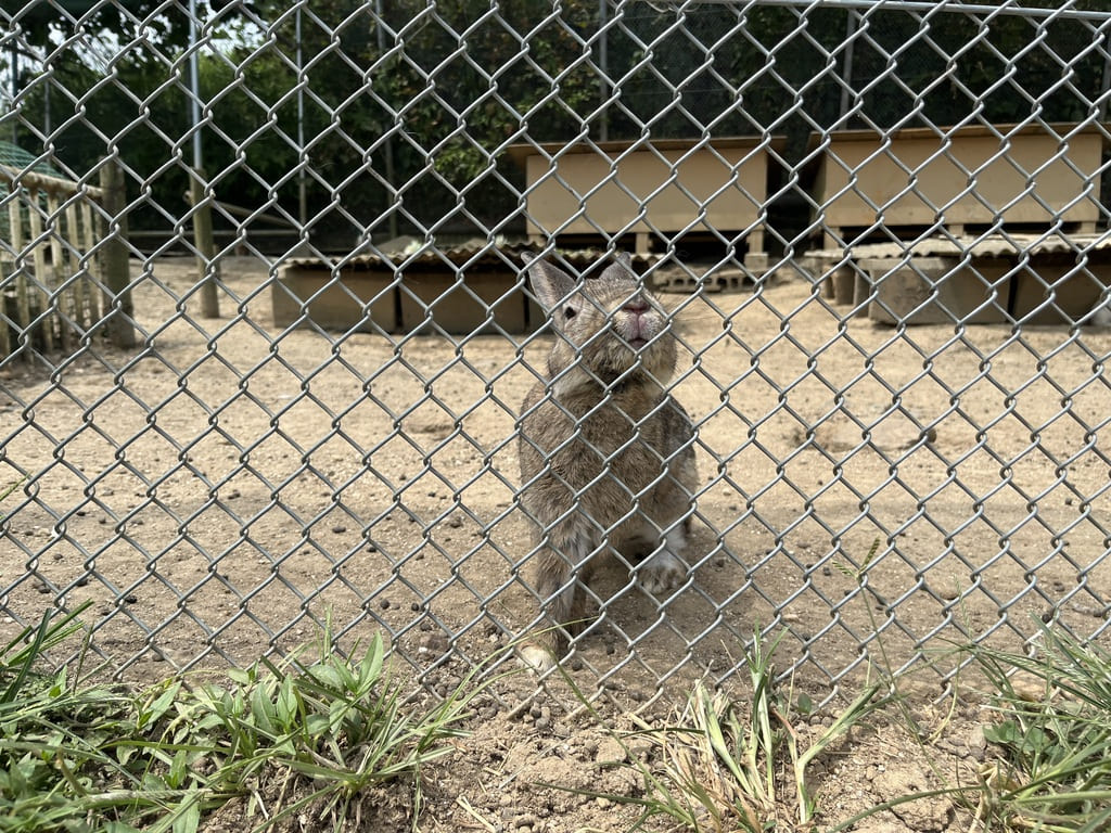 蜂ヶ峯総合公園