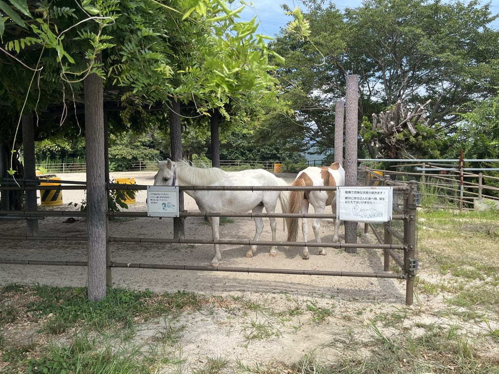 蜂ヶ峯総合公園