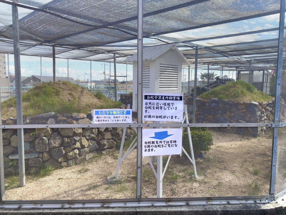 岩國白蛇神社の屋外飼育場