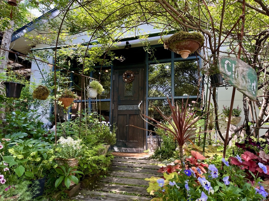 岩国　Pizza & cafe ばらの木　隠れ家　カフェ