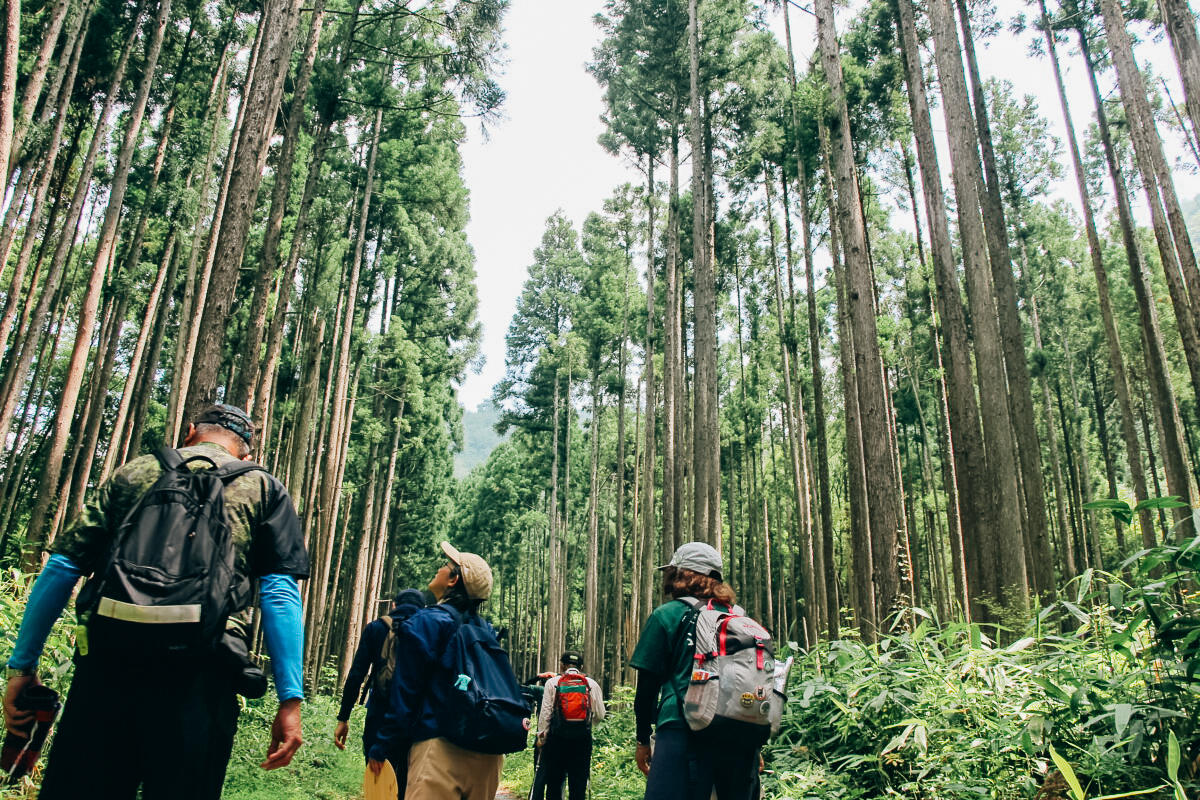 画像：五感をひらき、整え、癒される森時間を　山口市「森林セラピー山口」
