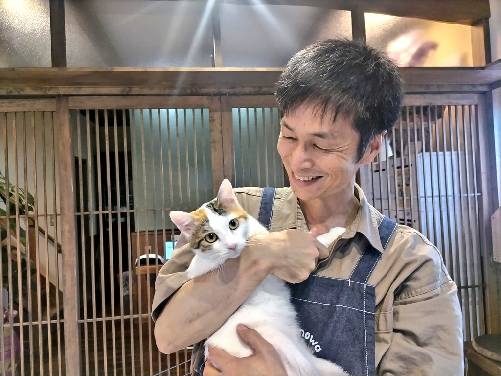 画像：猫にも人にも優しい店長が迎えてくれる癒やしの保護猫カフェ　下関市「Nekonowa」