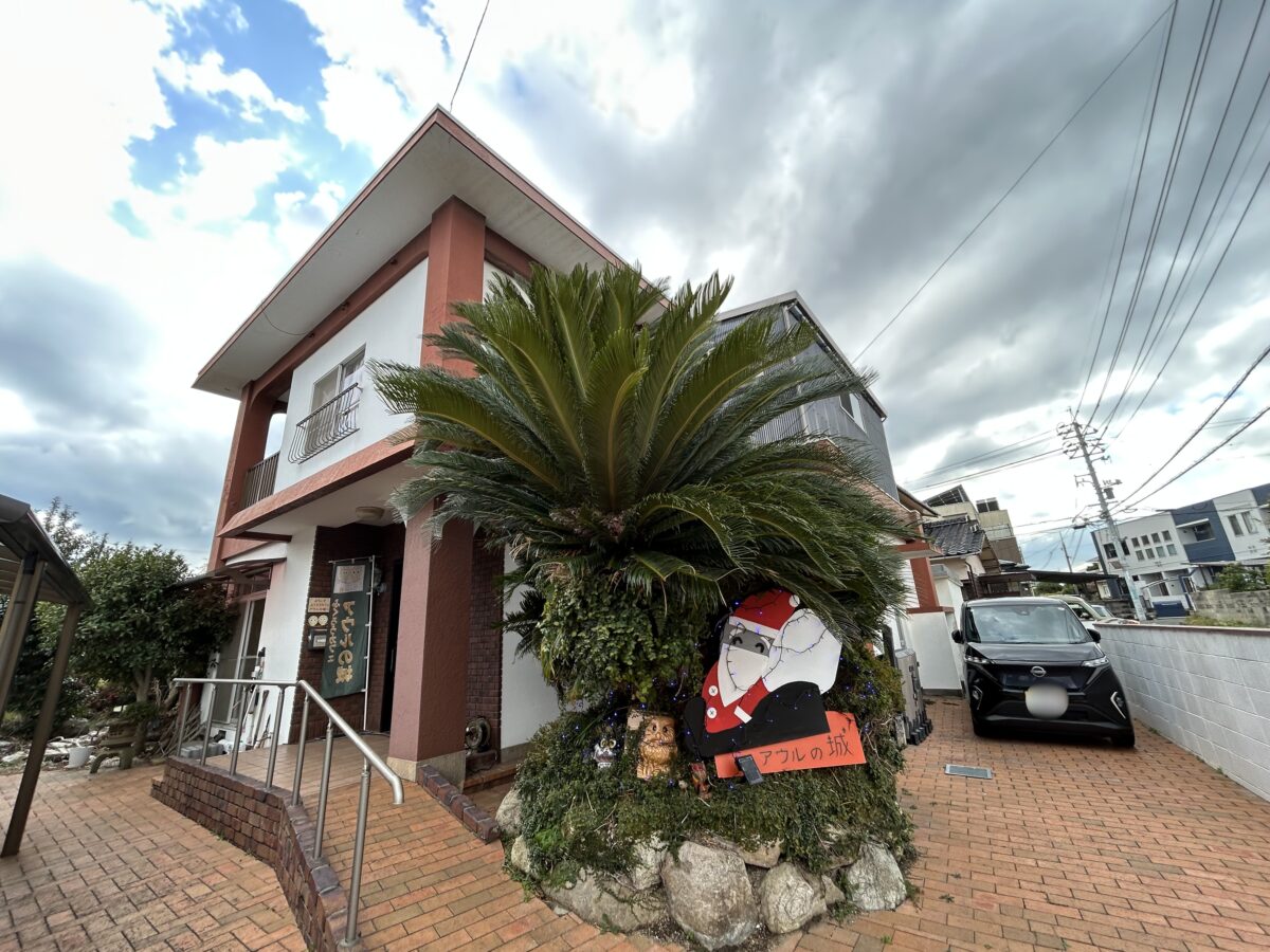 画像：あなたの推しはどの子？ふくろうと触れ合える癒しスポット　宇部市「ふくろうカフェ アウルの城」