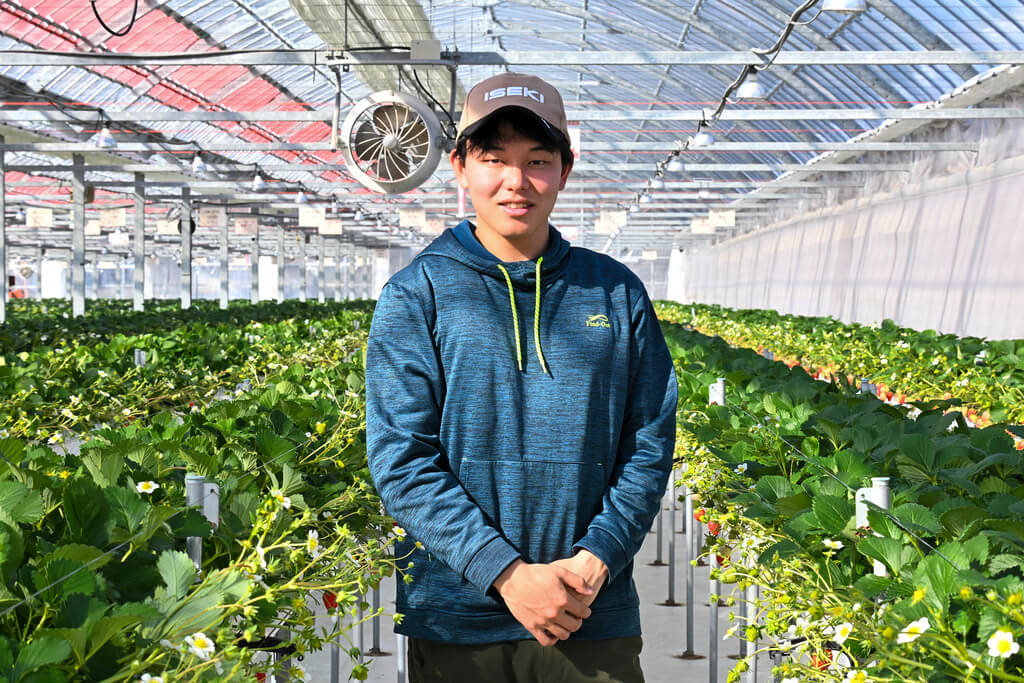 若き挑戦が実らせる甘い畑 岩国市「すずみのりいちご農園」