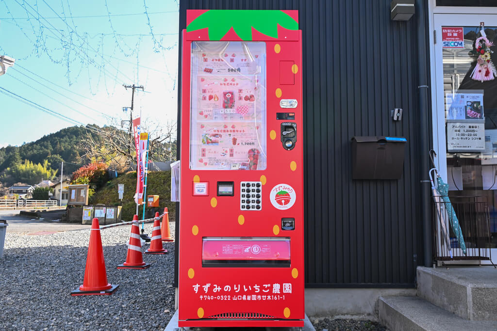 若き挑戦が実らせる甘い畑 岩国市「すずみのりいちご農園」