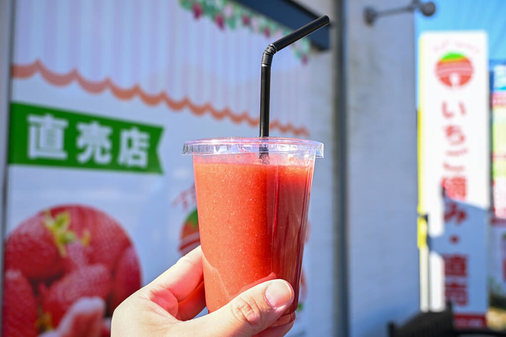 若き挑戦が実らせる甘い畑 岩国市「すずみのりいちご農園」