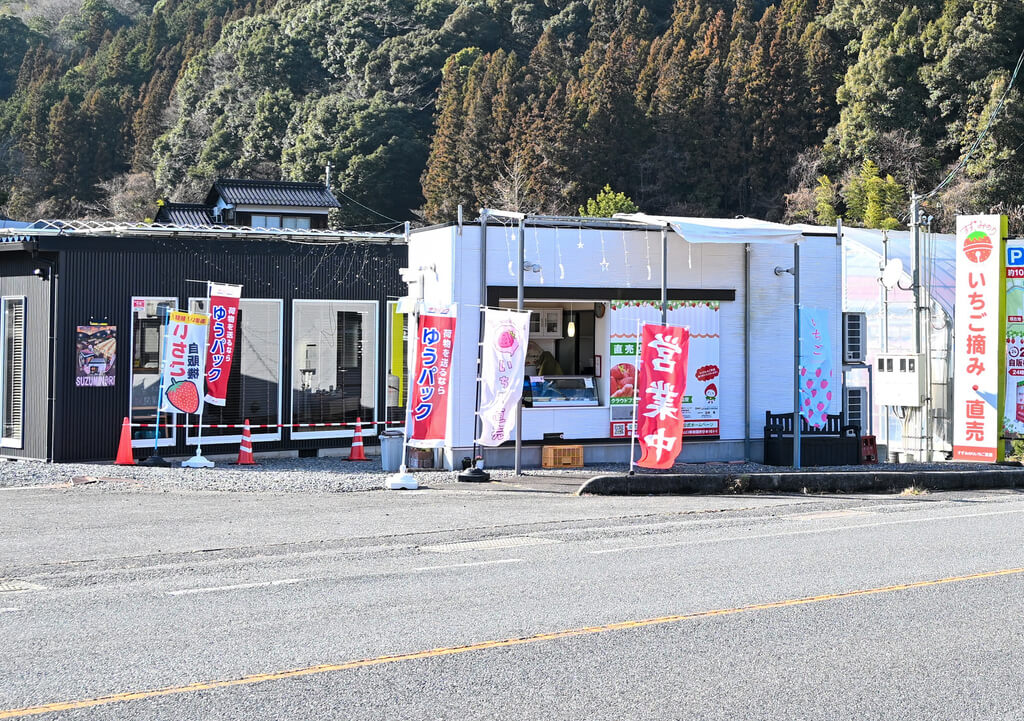 若き挑戦が実らせる甘い畑 岩国市「すずみのりいちご農園」