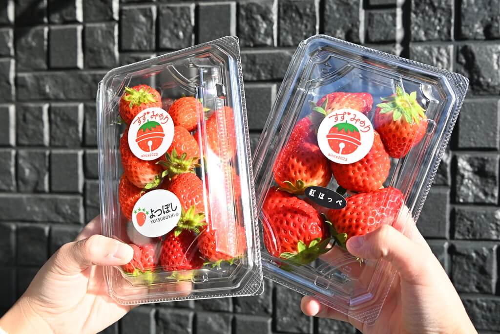 若き挑戦が実らせる甘い畑 岩国市「すずみのりいちご農園」