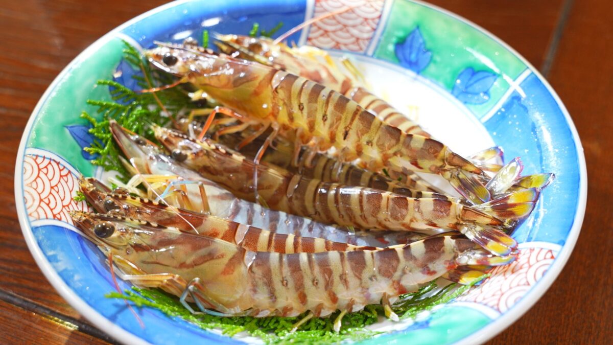 画像:「車えび養殖発祥の地」で味わう驚愕のエビ三昧!山口市「民宿しらい」