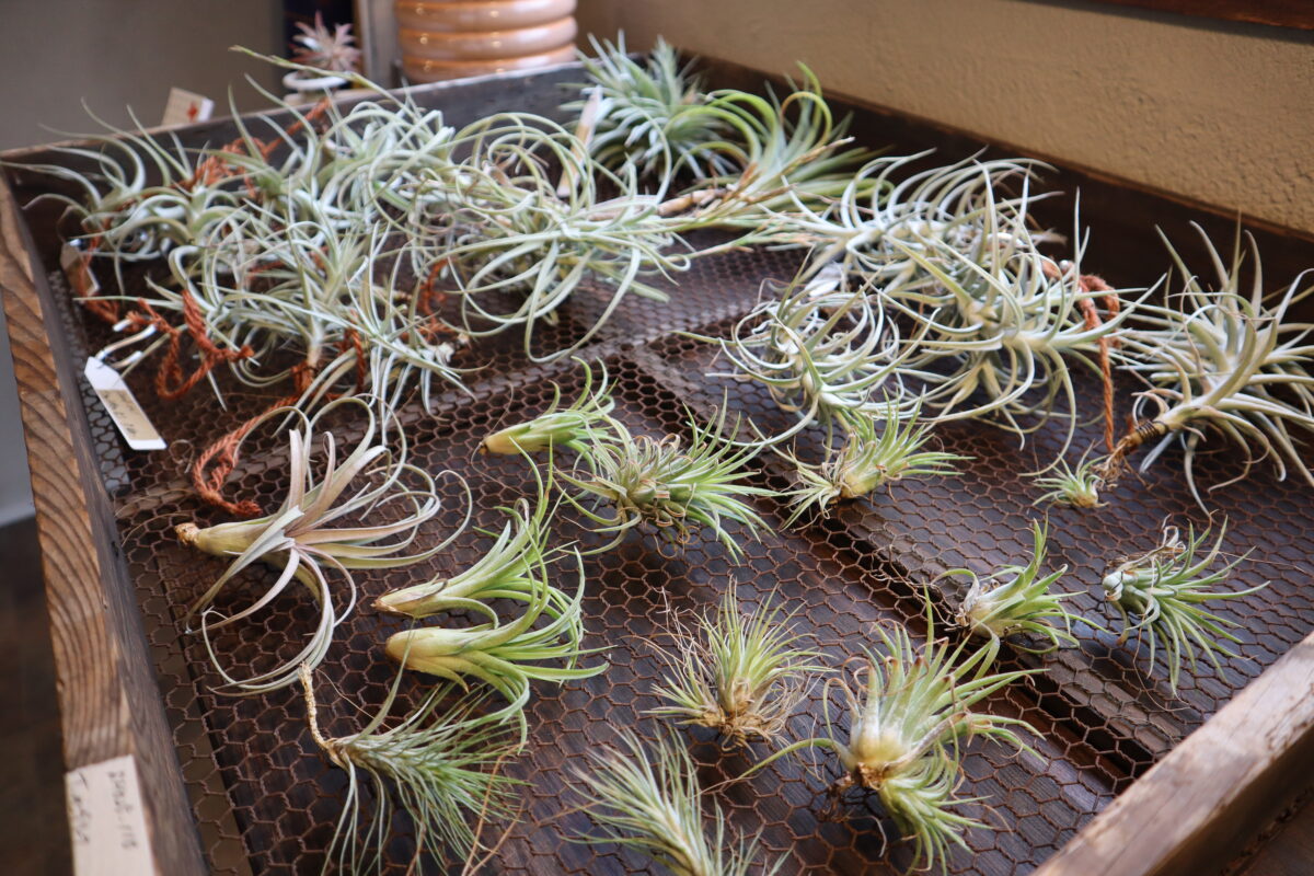 画像:「0.01mmの技」から生まれる、暮らしのインテリア 周南市「Calfko.(カルフコ)」