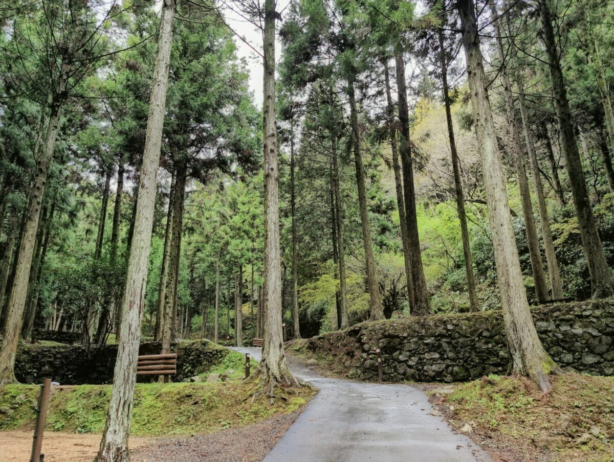 画像：「何もない」が心地いい。棚田を活かした山あいのキャンプ場　宇部市「吉部フォレストクラブ犬ヶ迫キャンプ場」