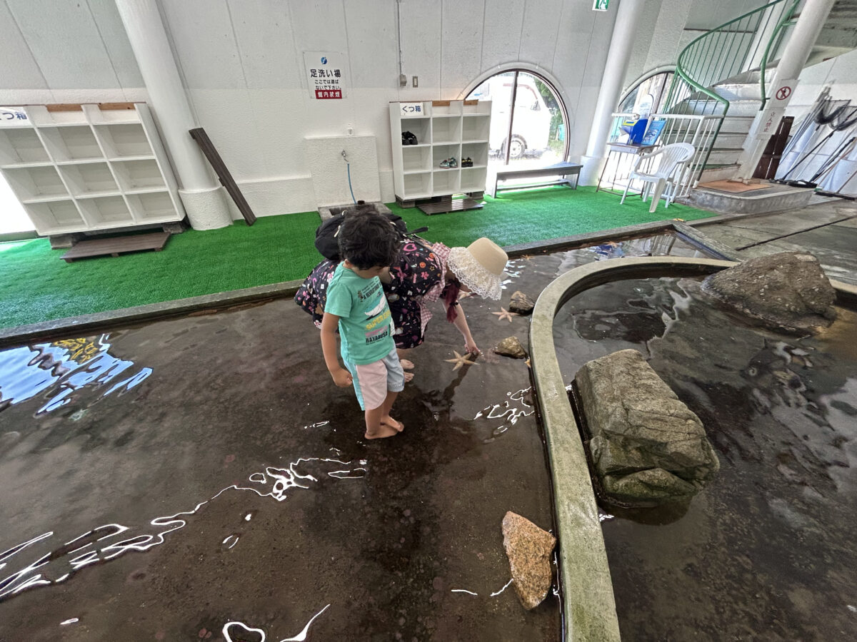 画像:ヒトデやサメを間近に感じるタッチングプールが人気 周防大島町「なぎさ水族館」