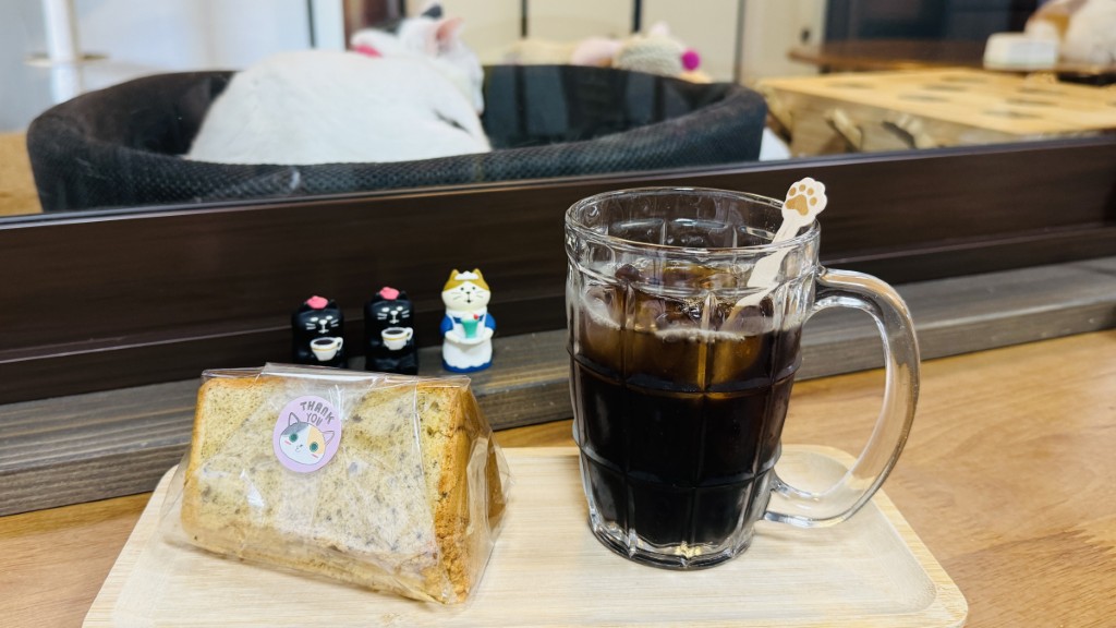 画像：およそ築100年の古民家で猫たちと癒やしの時間を　萩市「ほごにゃんどるちぇるーむ Kawaii」