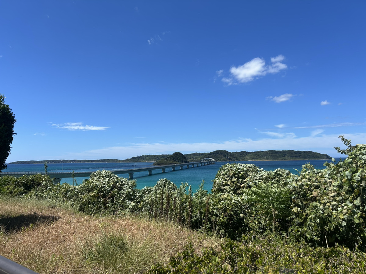 画像:角島大橋だけじゃない!海鮮丼と絶景を満喫する角島ドライブ 下関市「角島大橋」